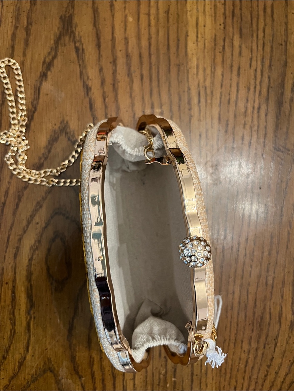 Haute Hippie Pink & Cream Shell-Embroidered Clutch with Gold Chain - Picture 12 of 15